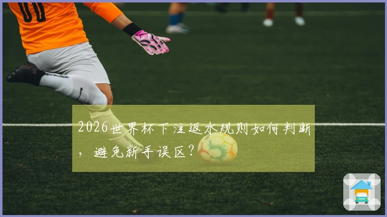 2026世界杯下注返水规则如何判断，避免新手误区？